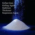 Low Acyl Gellan Gum Suspending Agent for Beverage