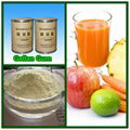 Gellan Gum Low Acyl Gellan Gum CAS 71010-52-1 Edible Gum FCC 3