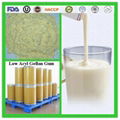 Producer of food additive gellan gum 71010-52-1