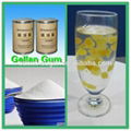 Producer of food additive gellan gum 71010-52-1