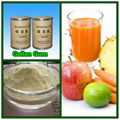 Gellan Gum Powder 5