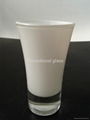 Glass tumbler , promotional glass mug 1