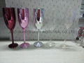Laser engrared champagne glass 