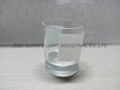 10oz Whisky glass cup 3