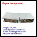 Paper honeycomb sandwich panel