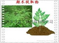 Moringa extract