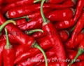 Capsaicin 2