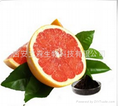 grapefruit seed extract