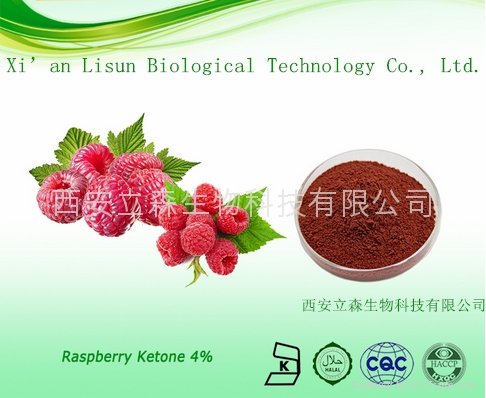 Raspberry Extract  Raspberry Ketone