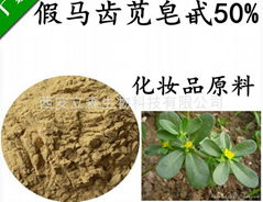 bacoside    Bacopa monniera extract