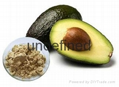 Avocado Fruit Powder    Avocado Extract