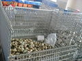 Wire mesh collapsible storage cage 2