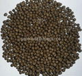 Dog/Cat/Pet/Fish Feed Pellets Production Machine 5