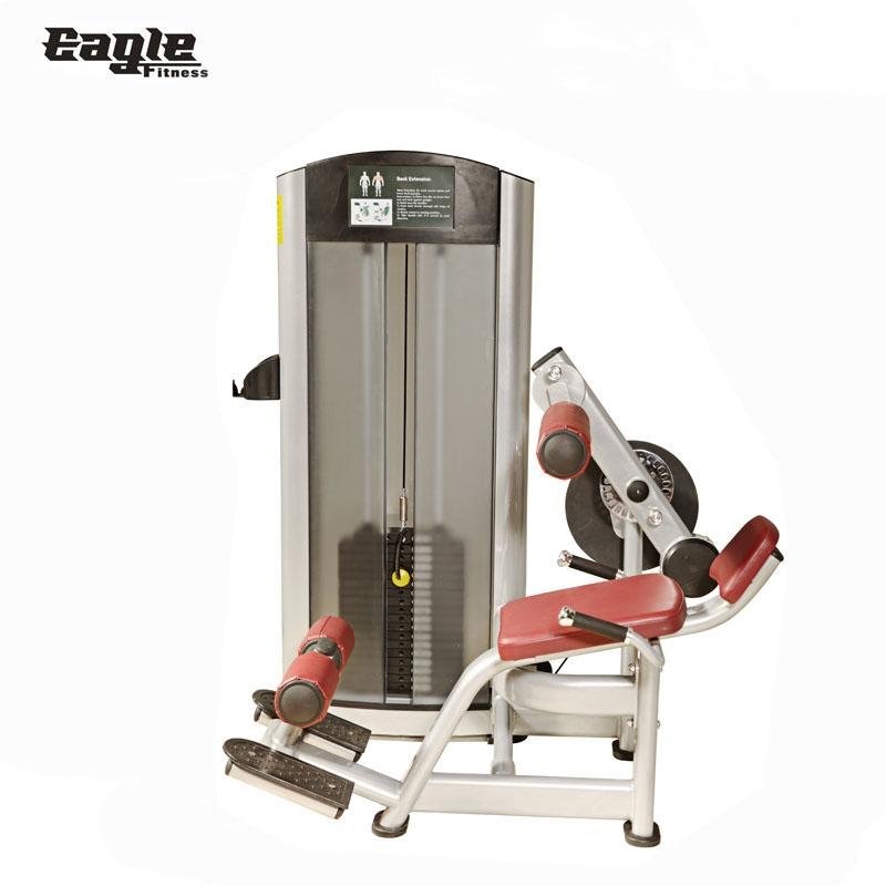 Strength Machines Life Fitness Dual Function Sports Equipment for Back Extension