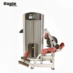 Strength Machines Life Fitness Dual Function Sports Equipment for Back Extension