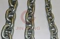 hoist chain from China 2