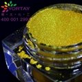  Crystal Golden Pearlescent Pigments 7