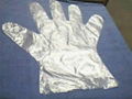 Disposable PE Glove 3