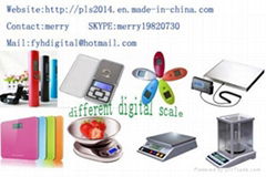 shenzhe FYH electronic  scale Co.,ltd