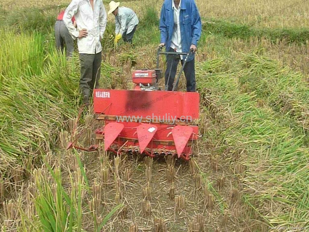 high quality rice reaper SLGS Shuliy (China Manufacturer) Farm