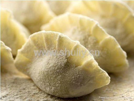 New design Chinese dumpling making machine 4