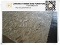 1220*2440mm OSB for furniture and building 5