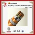 Steel wire Armoured cable 240mm xlpe 4 core armoured cable 1