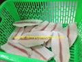 Tilapia Fillet deep skinned 4