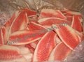 Healthier Tilapia Fillet from good factory in China