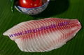 Healthier Tilapia Fillet from good factory in China