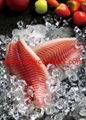 Healthier Tilapia Fillet from good factory in China