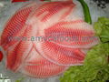 Tilapia Fillet high quality cage farmed fish 1