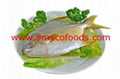 Golden Pompano High Quality good price