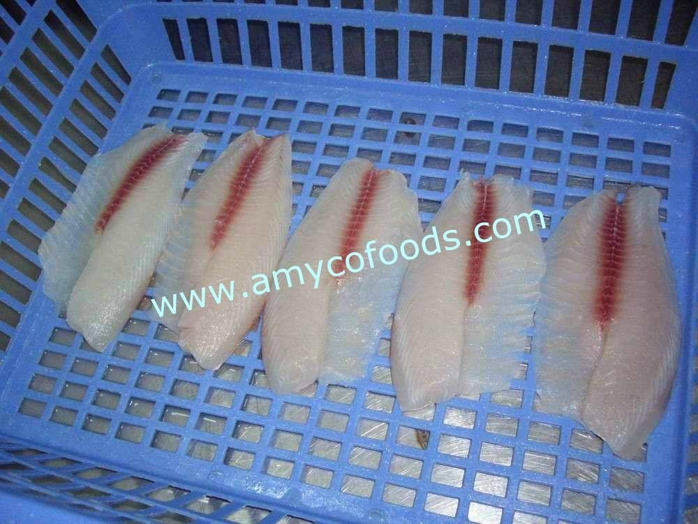 Tilapia Fillet from good tilapia fillet factory in China 2