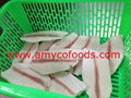Tilapia Fillet from good tilapia fillet factory in China