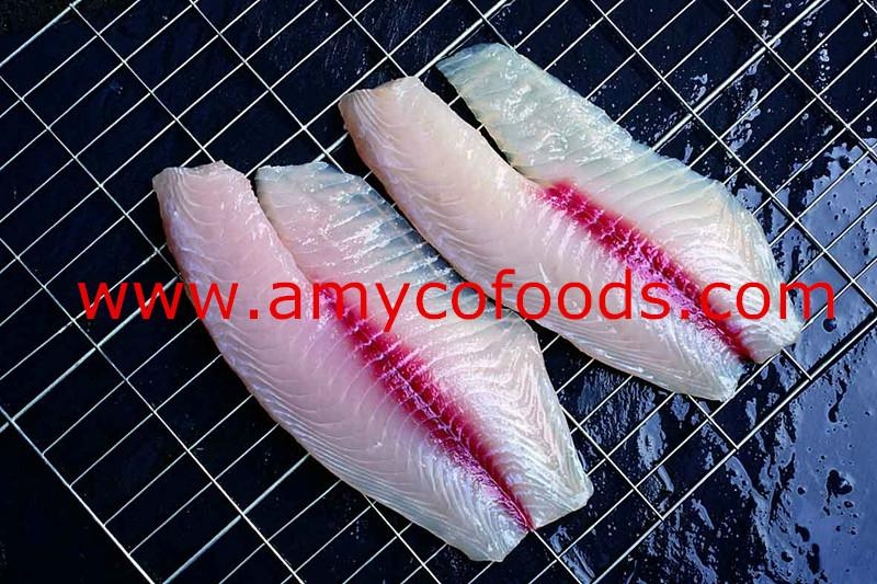 Tilapia Fillet from good tilapia fillet factory in China Amyco (China