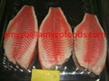 High Quality Tilapia Fillet from good factory in China