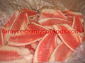 Tilapia Fillet high quality cage farmed fish 3