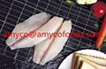 Tilapia Fillet high quality cage farmed fish