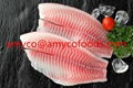 Tilapia Fillet high quality cage farmed fish 2