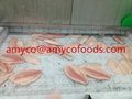 Healthy tilapia fillet from professional tilapia fillet producer in China