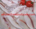 Tilapia Fillet from good tilapia fillet factory in China 4