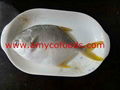 Golden Pompano High Quality good price from producer in China 3