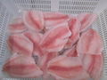 Healthy tilapia fillet from professional tilapia fillet producer in China 4