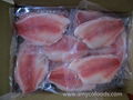 Tilapia Fillet high quality from tilapia fillet expert in China