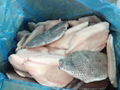 Tilapia Fillet high quality from tilapia fillet expert in China 2