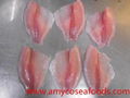 Tilapia Fillet high quality from tilapia fillet expert in China