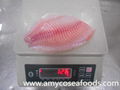 Tilapia Fillet high quality from tilapia fillet expert in China