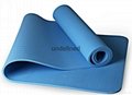 eco-friendly TPE yoga mat with singal  color 2