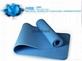 eco-friendly TPE yoga mat with singal